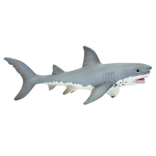 275029-Great White Shark