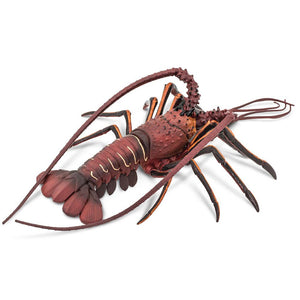 100076-Spiny Lobster