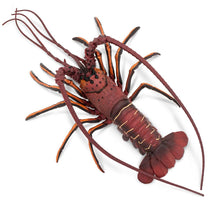Cargar imagen en el visor de la galería, 100076-Spiny Lobster