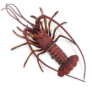 100076-Spiny Lobster