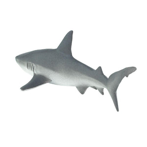 100099-Gray Reef Shark