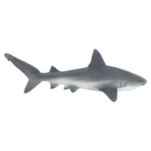 Cargar imagen en el visor de la galería, 100099-Gray Reef Shark