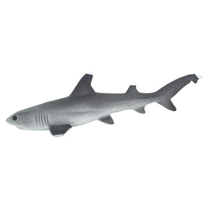 100100-Whitetip Reef Shark
