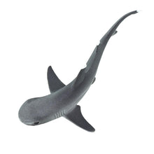 Cargar imagen en el visor de la galería, 100100-Whitetip Reef Shark