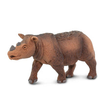 Cargar imagen en el visor de la galería, 100103-Sumatran Rhino