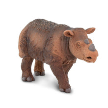 Cargar imagen en el visor de la galería, 100103-Sumatran Rhino