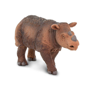 100103-Sumatran Rhino