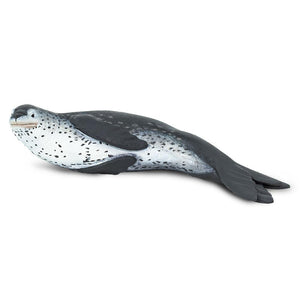 100129-Leopard Seal