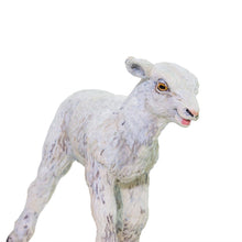 Cargar imagen en el visor de la galería, 100137-Lamb