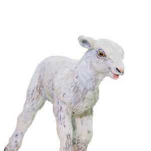 100137-Lamb