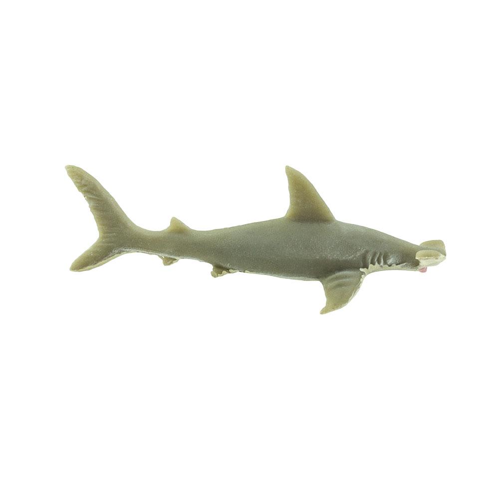 100170-Hammerhead Sharks