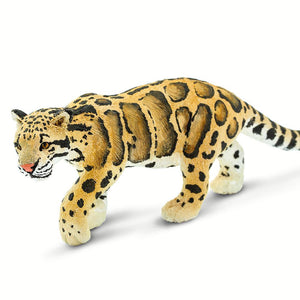 100239-Clouded Leopard |NEW