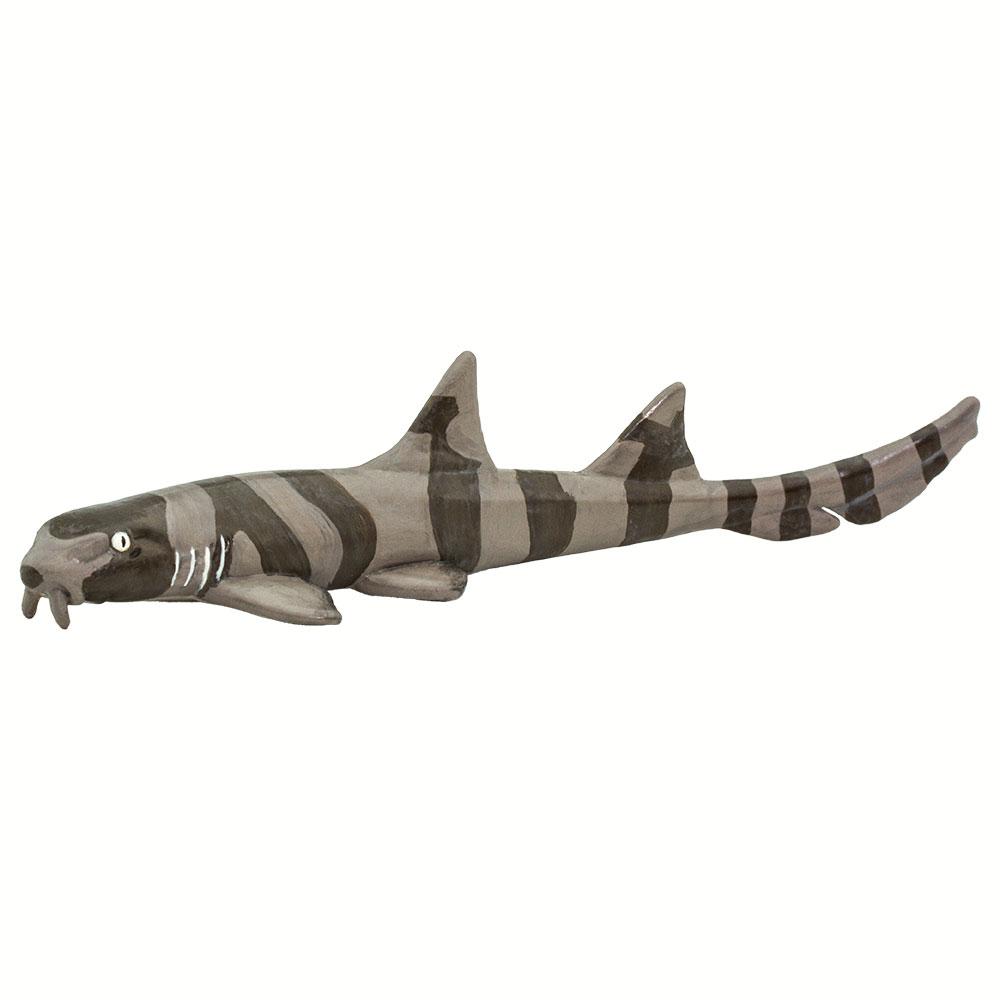 100311-Bamboo Shark |NEW