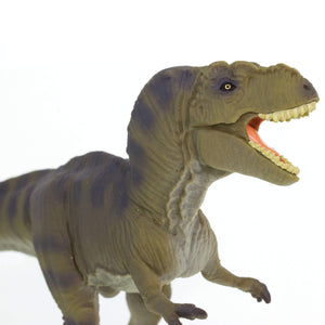 100423-Tyrannosaurus Rex |NEW