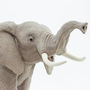 111089-African Elephant