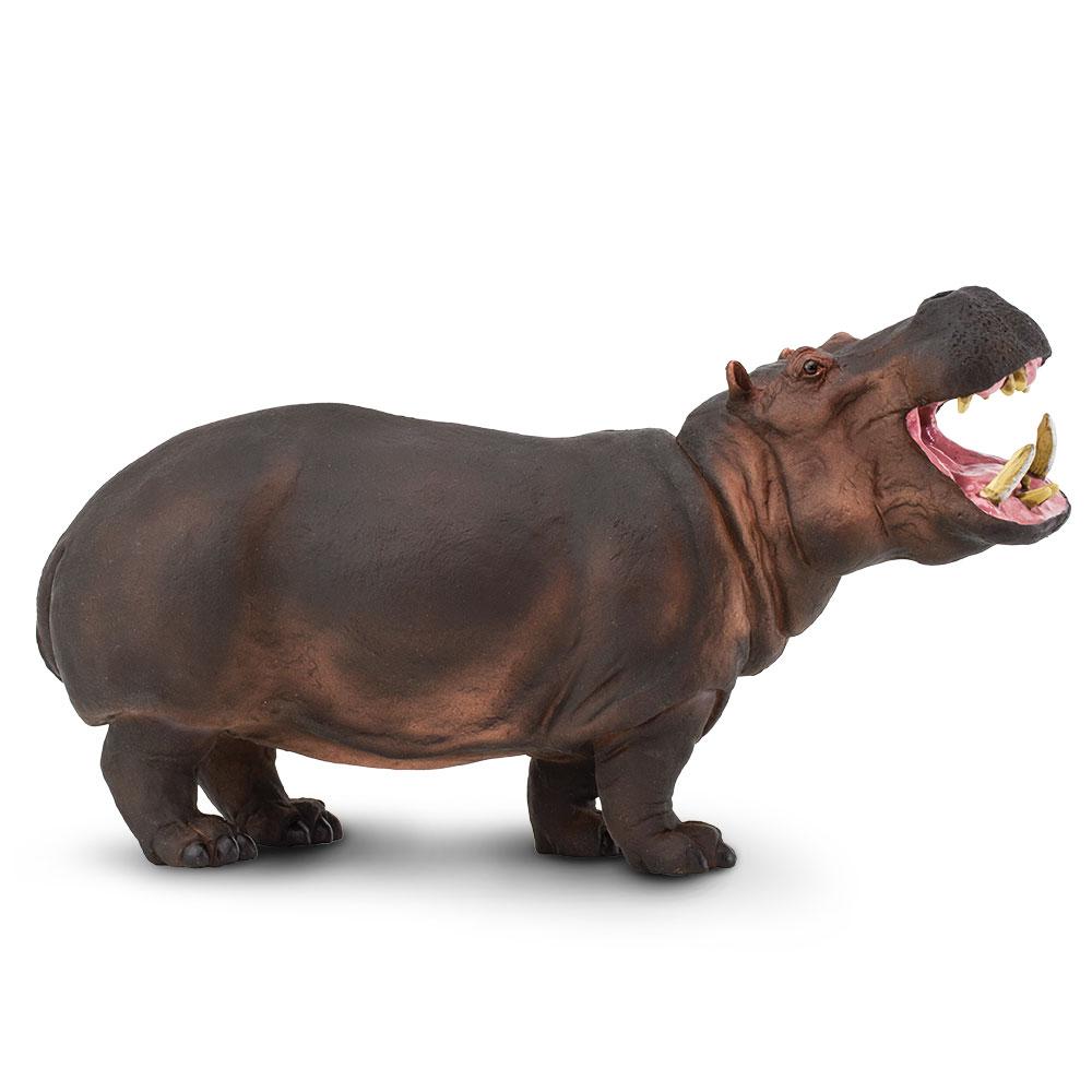 111889-Hippopotamus