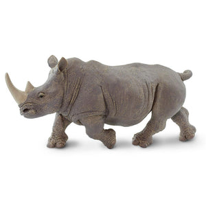 111989-White Rhino