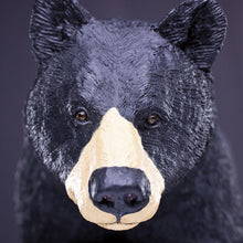 Cargar imagen en el visor de la galería, 112589-Black Bear