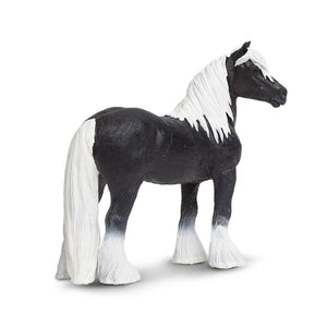 150305-Gypsy Vanner Stallion