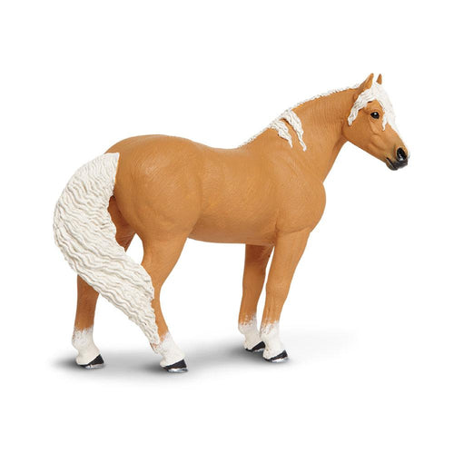 150505-Palomino Mustang Mare