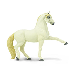 150905-Andalusian Stallion