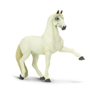150905-Andalusian Stallion