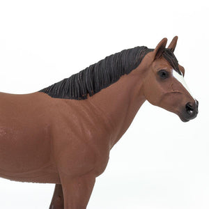 153005-Quarter Horse Gelding