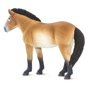 153505-Przewalski's Horse