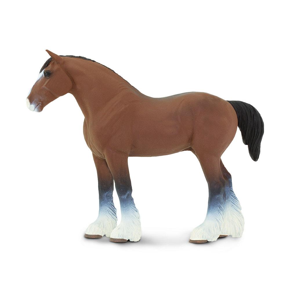 157805-Clydesdale Stallion