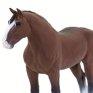 157805-Clydesdale Stallion