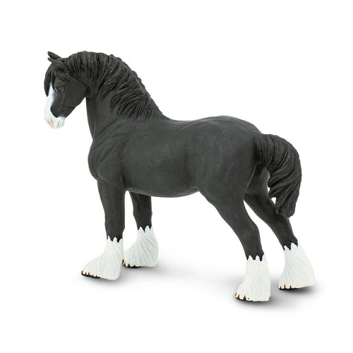 159505-Shire Stallion