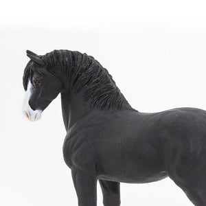 159505-Shire Stallion