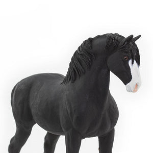 159505-Shire Stallion
