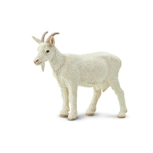161129-Nanny Goat