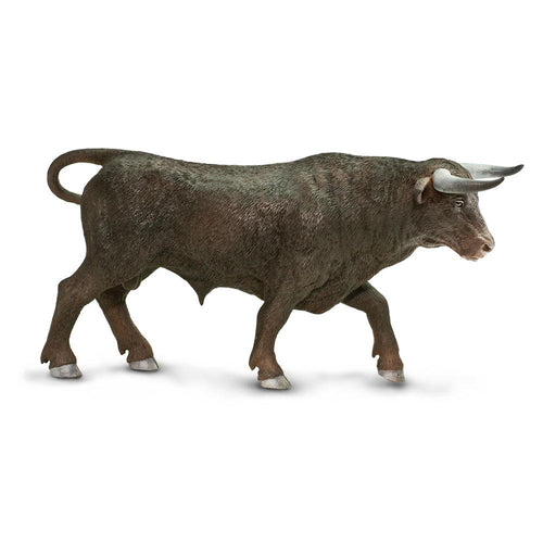 161629-Black Bull