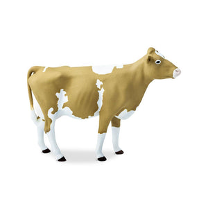 162029-Guernsey Cow