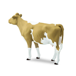 162029-Guernsey Cow