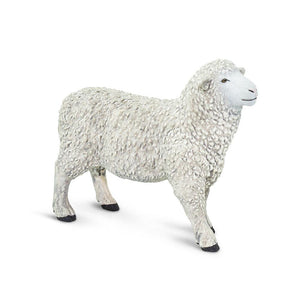 162429-Sheep