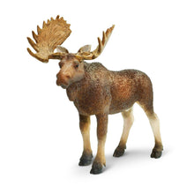 Cargar imagen en el visor de la galería, 181029-Bull Moose
