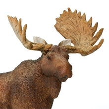 Cargar imagen en el visor de la galería, 181029-Bull Moose