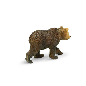 181429-Grizzly Bear Cub