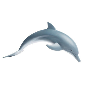 200129-Dolphin