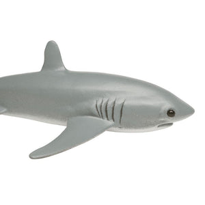 200229-Thresher Shark