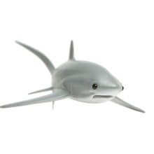 Cargar imagen en el visor de la galería, 200229-Thresher Shark