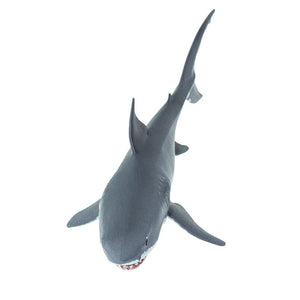 200729-Great White Shark