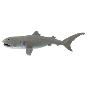 201029-Megamouth Shark
