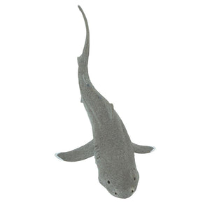 201029-Megamouth Shark