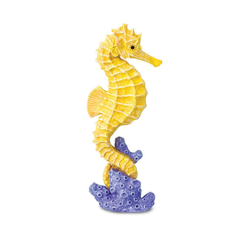 204329-Seahorse