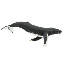 Cargar imagen en el visor de la galería, 210002-Humpback Whale