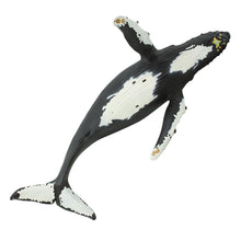 Cargar imagen en el visor de la galería, 210002-Humpback Whale
